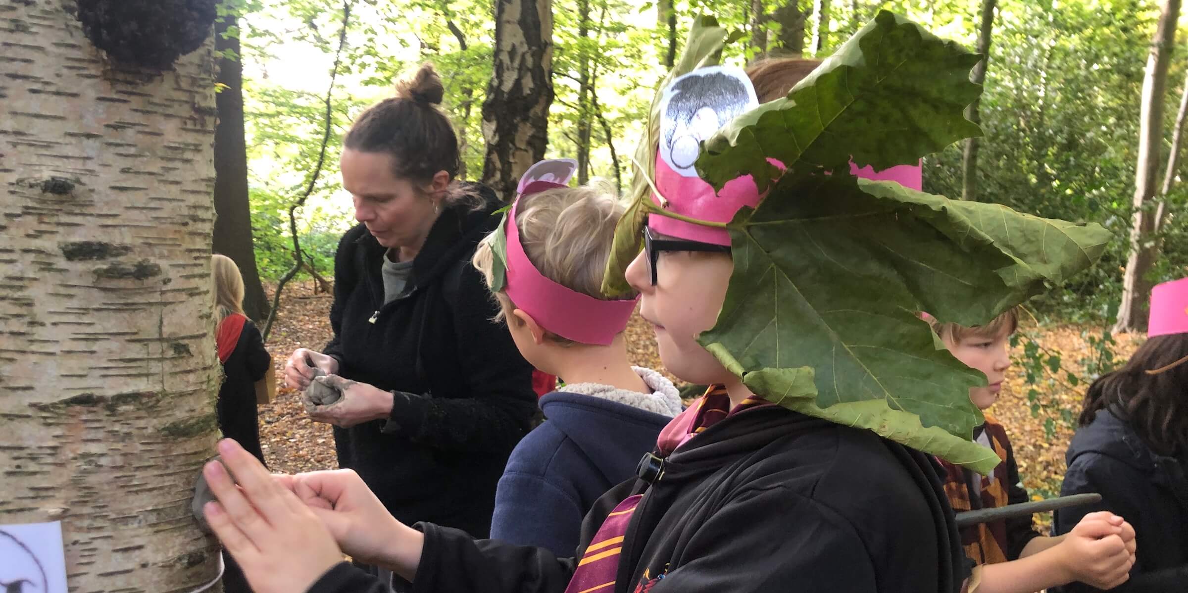 Notice Board image image